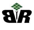 Buenas Raices